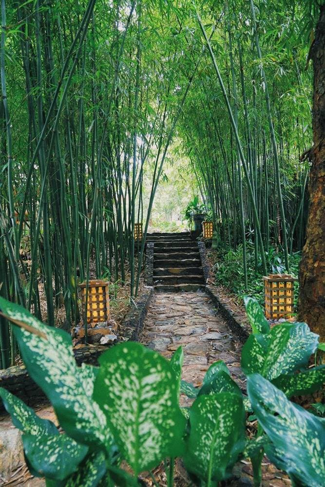 Rùa's House Hilltop nhà sàn trên đỉnh núi Sơn Đồng