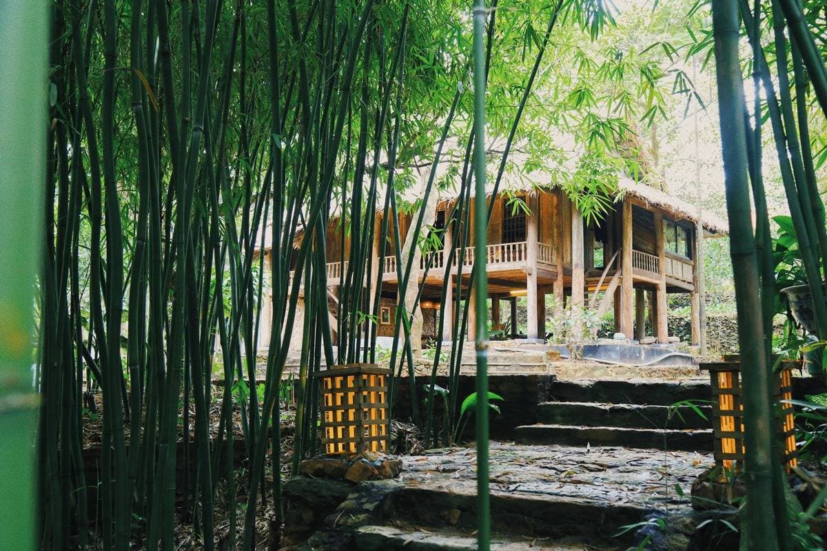 Rùa's House Hilltop nhà sàn trên đỉnh núi Sơn Đồng