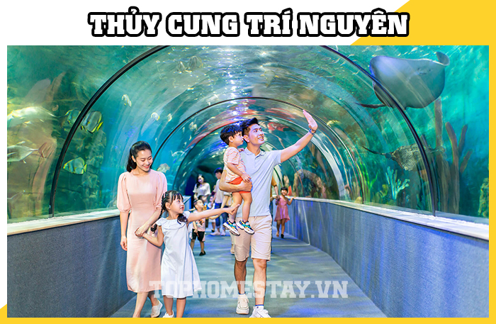 Thủy Cung Trí Nguyên Hòn Mun Nha Trang