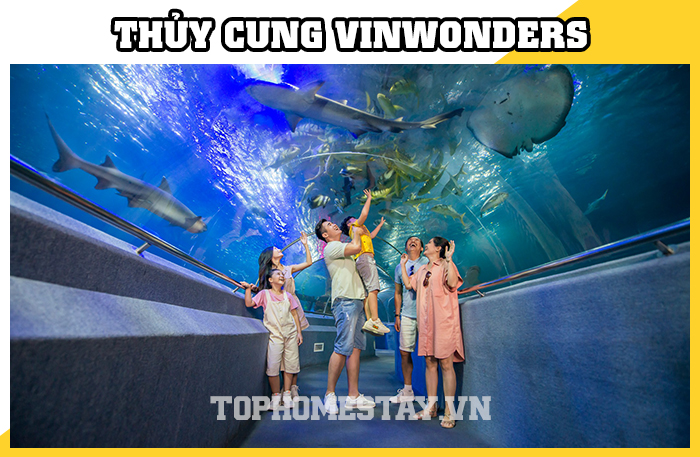 Thủy Cung VinWonders Nha Trang