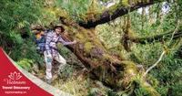 Tour trekking leo núi Pu Ta Leng 3 ngày 3 đêm