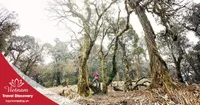 Tour trekking leo núi Khang Su Văn 3 ngày 3 đêm