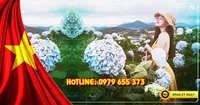 Tour du lịch Bình Hưng - Ninh Chữ - Đà Lạt 4 ngày 3 đêm lễ 30/4 - 1/5/2026