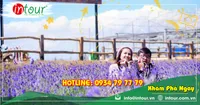 Tour du lịch Hà Nội - Đà Lạt 3 ngày 2 đêm