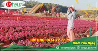 Tour Đà Nẵng - Đà Lạt 3 ngày 2 đêm năm 2026