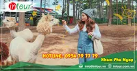 Tour du lịch Yên Bái - Đà Lạt 3 ngày 2 đêm năm 2026
