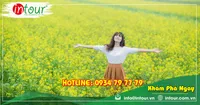 Tour du lịch Tây Ninh - Đà Lạt 3 ngày 3 đêm năm 2026