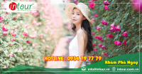 Tour du lịch Bình Dương - Nha Trang - Đà Lạt 4 ngày 4 đêm năm 2025