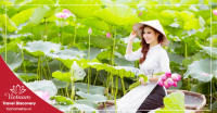 Tour Du Lịch Đồng Tháp Tràm Chim Gáo Giồng Tết Nguyên Đán 2 Ngày 1 Đêm