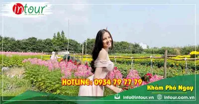 Tour du lịch Yên Bái - Phú Quốc - Miền Tây 6 ngày 5 đêm năm 2026