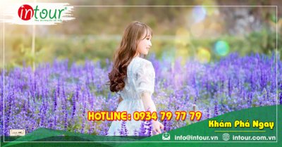 Tour Du Lịch Vĩnh Long - Đà Lạt 3 ngày 3 đêm năm 2025