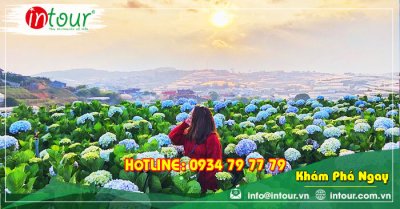 Tour du lịch Bình Phước - Đà Lạt 3 ngày 3 đêm năm 2025