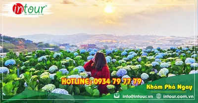 Tour du lịch Bình Phước - Đà Lạt 3 ngày 3 đêm năm 2026