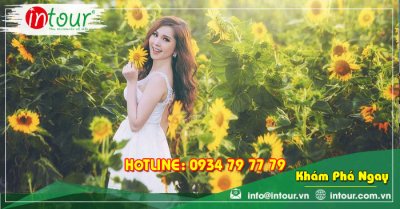 Tour Du Lịch Cần Thơ - Đà Lạt 3 ngày 3 đêm năm 2025