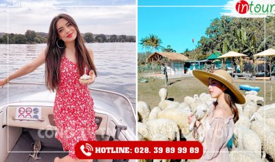 Tour du lịch Tây Ninh - Vũng Tàu 2 ngày 1 đêm năm 2025