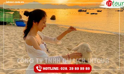 Tour Du Lịch Tây Ninh - Ninh Chữ - Đảo Bình Hưng 3 ngày 2 đêm năm 2026