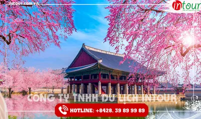Tour Du Lịch Hàn Quốc Seoul - Jeju - Nami 6 Ngày 5 Đêm