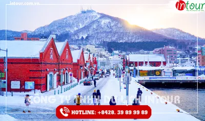 Tour Du Lịch Nhật Bản Tokyo – Núi Phú Sĩ – Nagoya – Kyoto 5 Ngày 4 Đêm