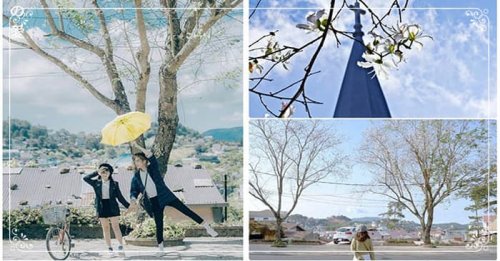 Những điều bạn cần biết khi nhắc đến thành phố Đà Lạt hoàng hôn !