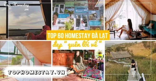 Tổng hợp 100+ Homestay đẹp và rẻ tại Đà Lạt bạn không thể ngờ đến