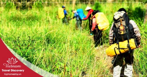 Tour Khám Phá Vườn Quốc Gia Phước Bình - Suối Gia Nhông Ninh Thuận