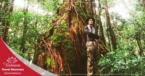 Tour Trekking Vườn Quốc Gia Bidoup 3 ngày 2 đêm