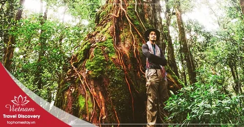Tour Trekking Vườn Quốc Gia Bidoup 3 ngày 2 đêm