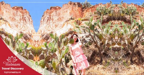 Tour du lịch Phú Yên 3 ngày 3 đêm