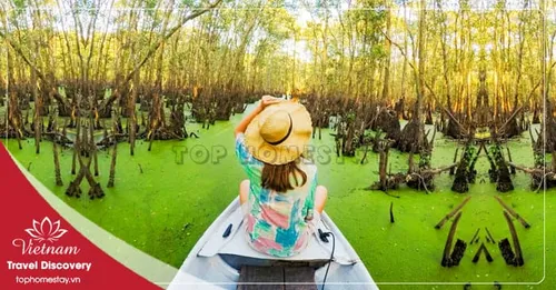Tour du lịch Bà Lụa Rừng Tràm Trà Sư 2 ngày 2 đêm