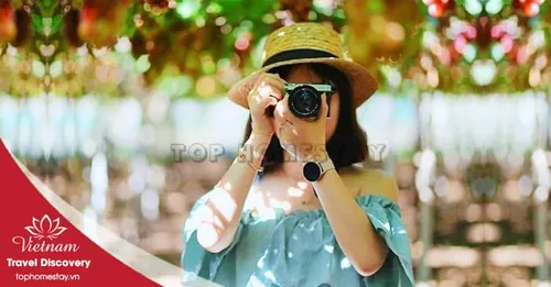 Tour du lịch Bình Hưng - Ninh Chữ - Đà Lạt Tết Nguyên Đán 4 ngày 4 đêm