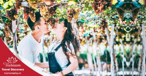 Tour du lịch Ninh Chữ Tết Nguyên Đán 2 ngày 2 đêm