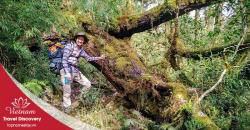 Tour trekking leo núi Pu Ta Leng 3 ngày 3 đêm