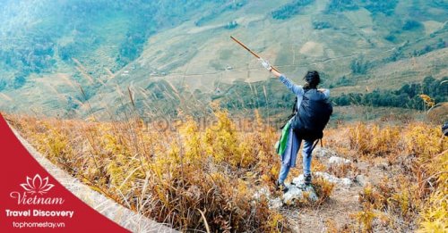 Tour Trekking Leo Núi Đỉnh Lùng Cúng 3 ngày 3 đêm