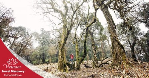 Tour trekking leo núi Khang Su Văn 3 ngày 3 đêm