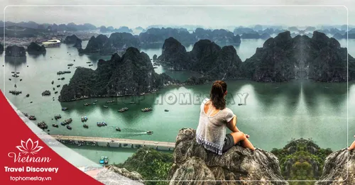 Tour du lịch Hà Nội - Tràng An - Hạ Long - Yên Tử Tết Nguyên Đán 4 ngày 3 đêm