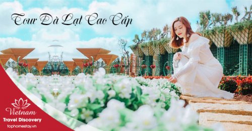 Tour du lịch Đà Lạt 3 ngày 2 đêm cao cấp khách sạn 5 sao