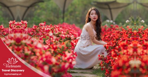 F Cánh Đồng Hoa Điểm Đến Check-in Say Mê Cho Người Yêu Hoa