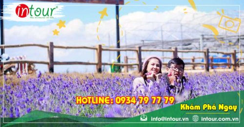 Tour du lịch Hà Nội - Đà Lạt 4 ngày 3 đêm