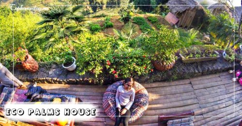 Ngôi nhà giữa đồng lúa thơ mộng Eco Palms House