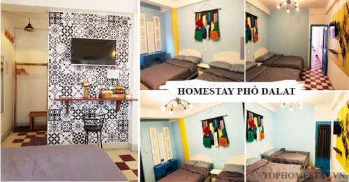Homestay Phố Dalat chất ngất ngây giá mềm không tưởng
