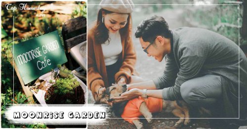 Homestay Moonrise Garden Dalat điểm về an nhiên giữa lòng thành phố