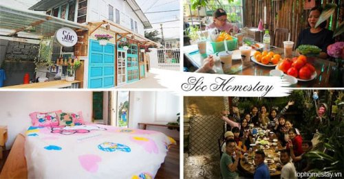 Vẻ đẹp ngất ngây của Sóc Homestay Đà Lạt