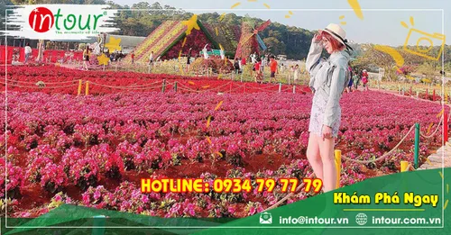 Tour Đà Nẵng - Đà Lạt 3 ngày 2 đêm năm 2026