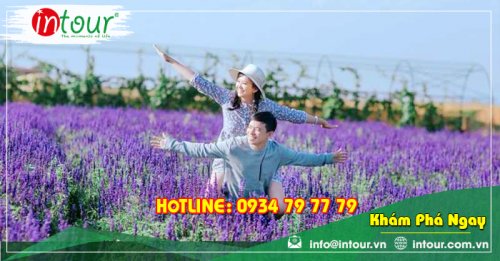 Tour du lịch Bình Phước - Nha Trang - Đà Lạt 4 ngày 4 đêm năm 2025
