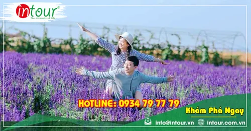 Tour du lịch Bình Phước - Nha Trang - Đà Lạt 4 ngày 4 đêm năm 2026