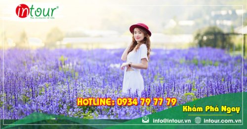 Tour du lịch Tây Ninh - Nha Trang - Đà Lạt 4 ngày 4 đêm năm 2025