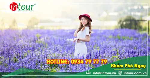 Tour du lịch Tây Ninh - Nha Trang - Đà Lạt 4 ngày 4 đêm năm 2026