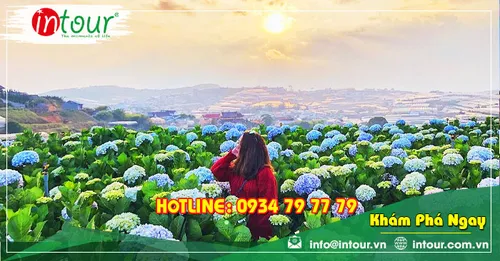Tour du lịch Bình Phước - Đà Lạt 3 ngày 3 đêm năm 2026