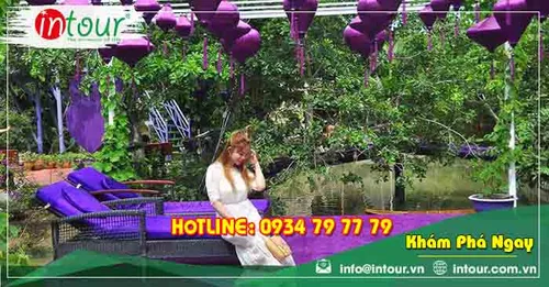 Tour Đà Nẵng - Phú Quốc - Miền Tây 6 ngày 5 đêm năm 2026