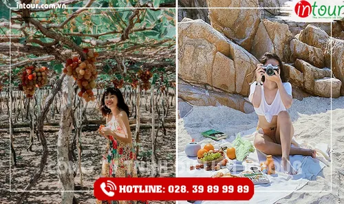 Tour Du Lịch Cần Thơ Ninh Chữ - Vĩnh Hy 3 ngày 3 đêm năm 2026